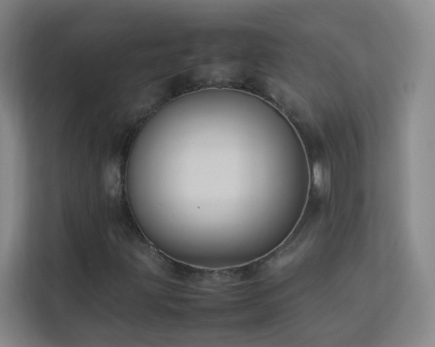 X0000113891203200909241410