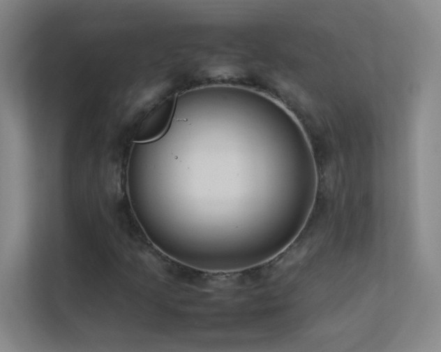 X0000113891205200909241410