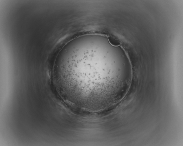 X0000113891206200909241410