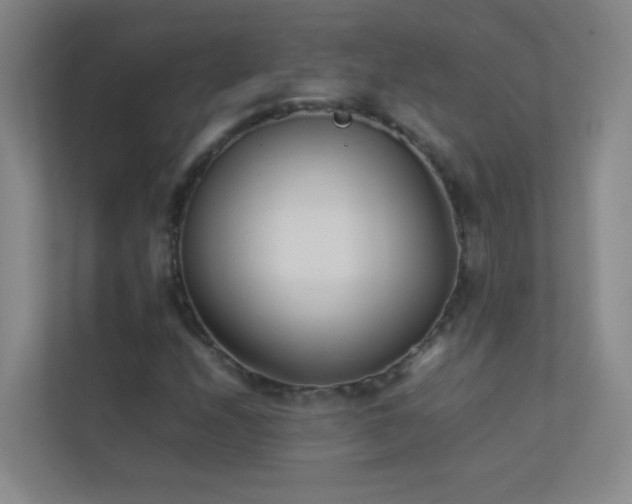 X0000113891208200909241410