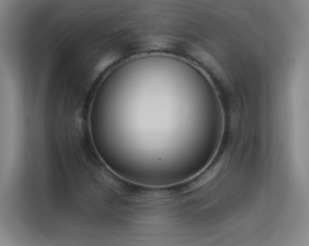 X0000113891210200909241410