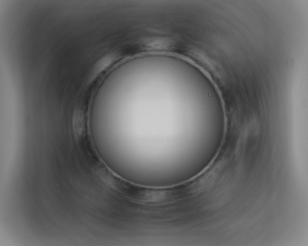 X0000113891211200909241410