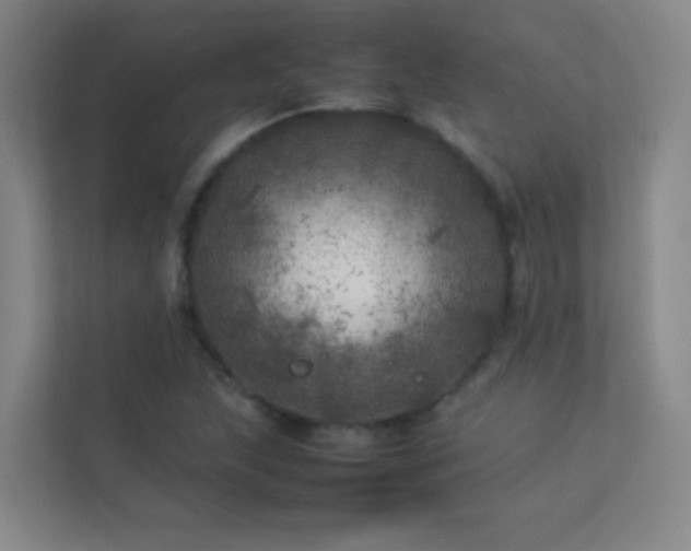 X0000113891215200909241410