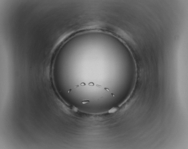 X0000113891216200909241410
