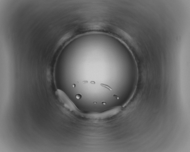 X0000113891218200909241410