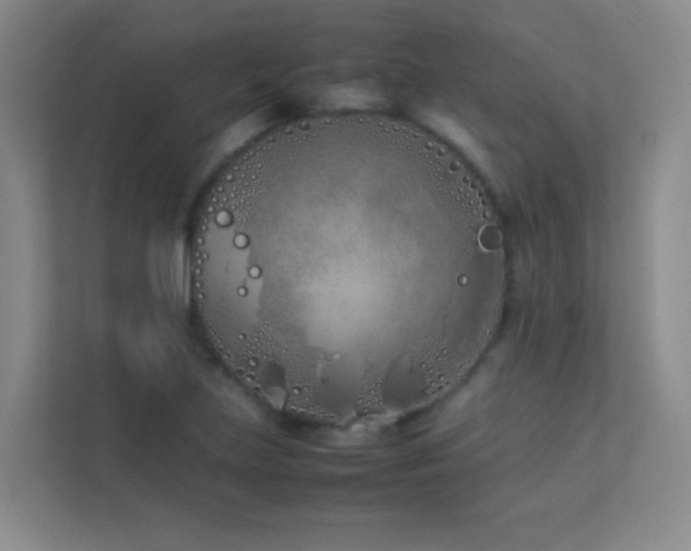 X0000113891219200909241410