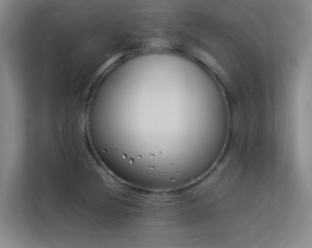 X0000113891220200909241410