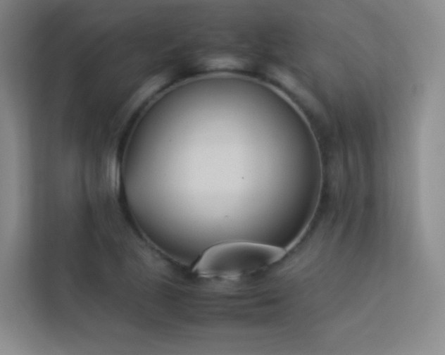 X0000113891221200909241410