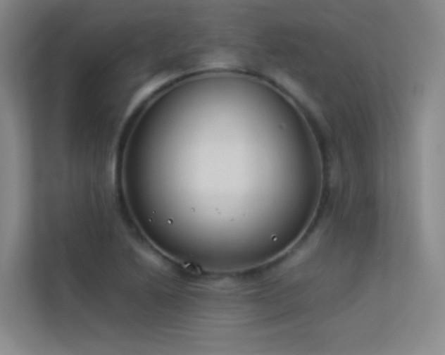 X0000113891222200909241410
