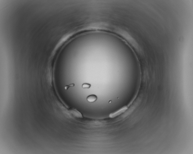 X0000113891224200909241410