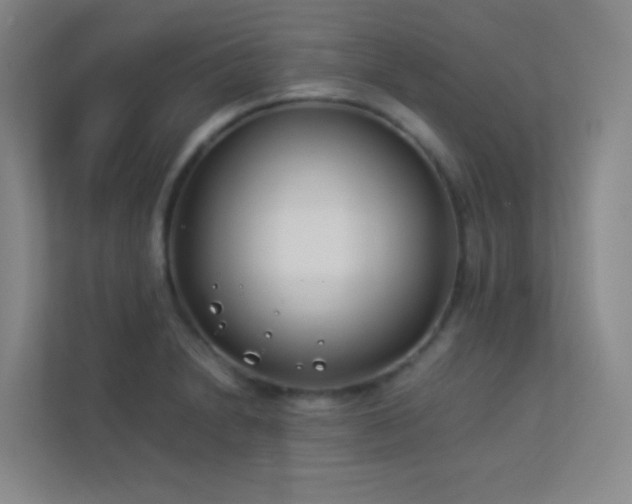 X0000113891230200909241410