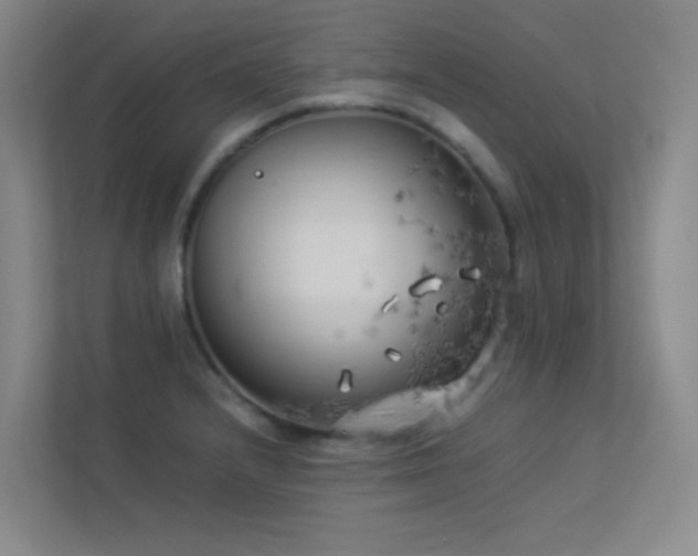 X0000113891232200909241410