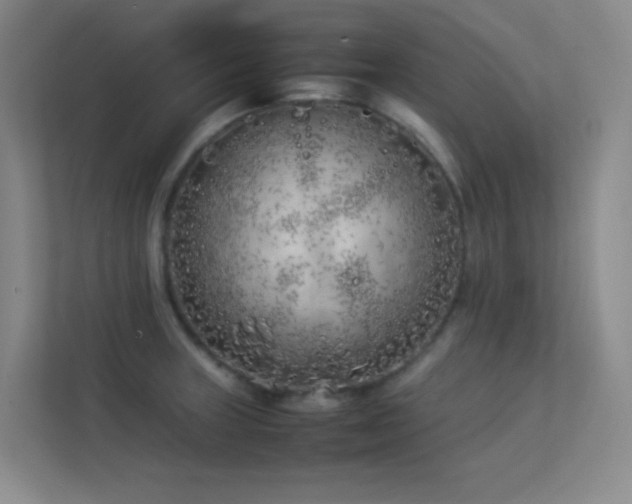 X0000113891235200909241410