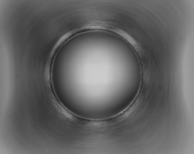 X0000113891240200909241410