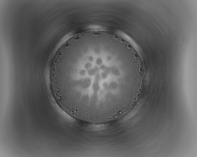 X0000113891243200909241410