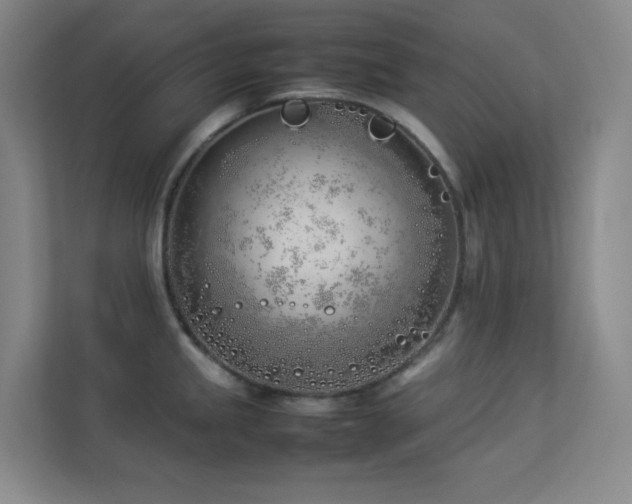 X0000113891245200909241410