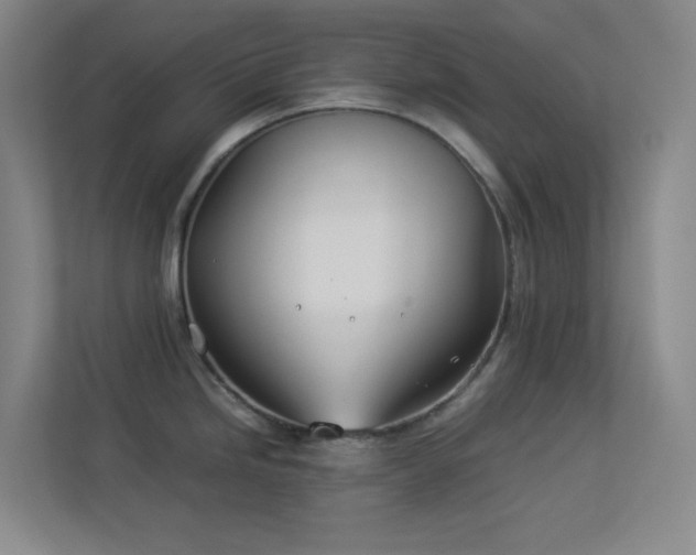 X0000113891246200909241410