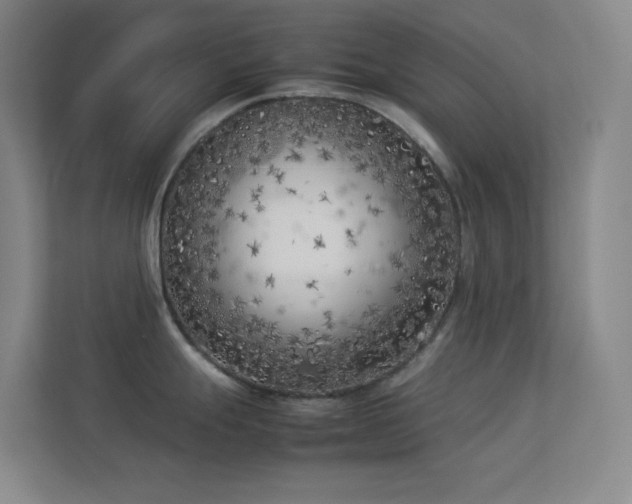 X0000113891247200909241410