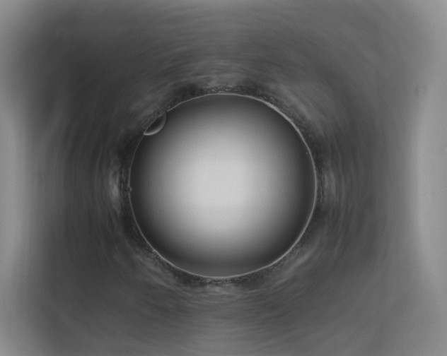 X0000113891250200909241410