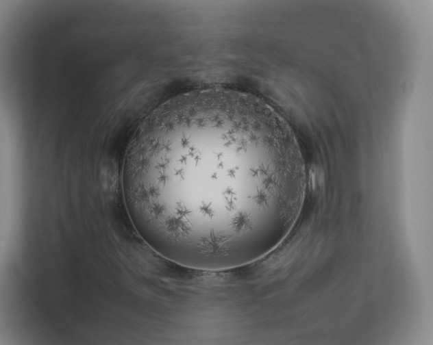 X0000113891251200909241410