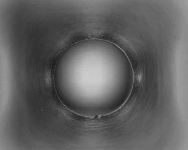 X0000113891252200909241410