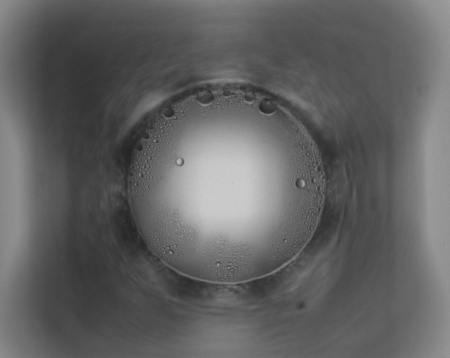 X0000113891255200909241410