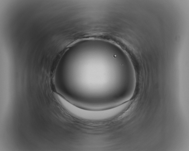 X0000113891257200909241410