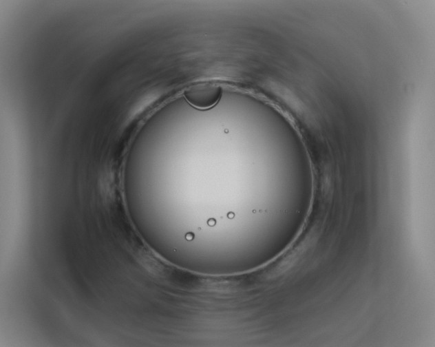 X0000113891258200909241410