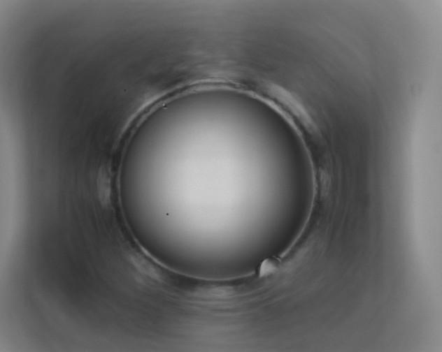 X0000113891260200909241410