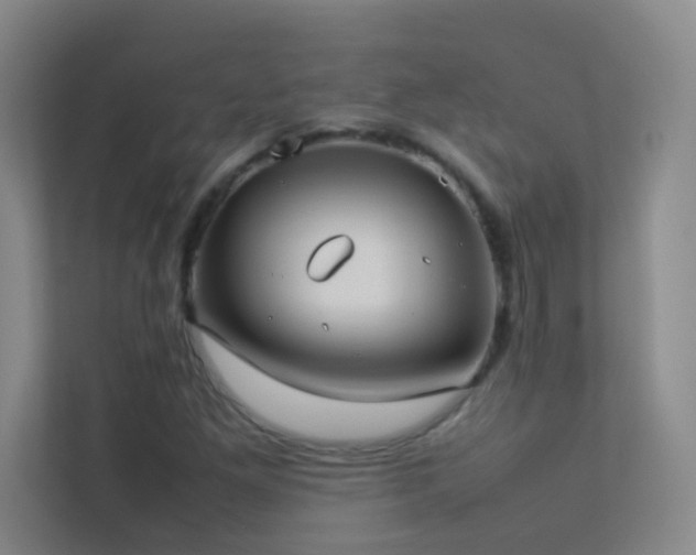 X0000113891261200909241409