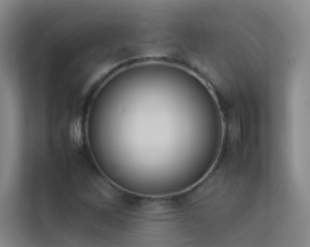 X0000113891262200909241409