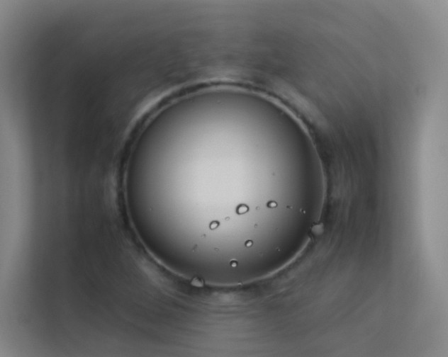 X0000113891264200909241409