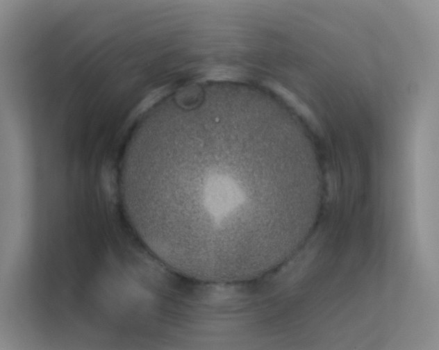 X0000113891266200909241409