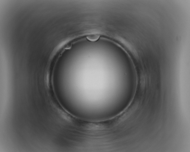 X0000113891270200909241409