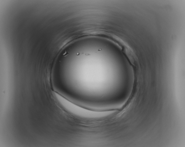 X0000113891273200909241409