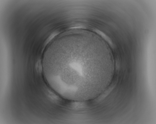 X0000113891274200909241409