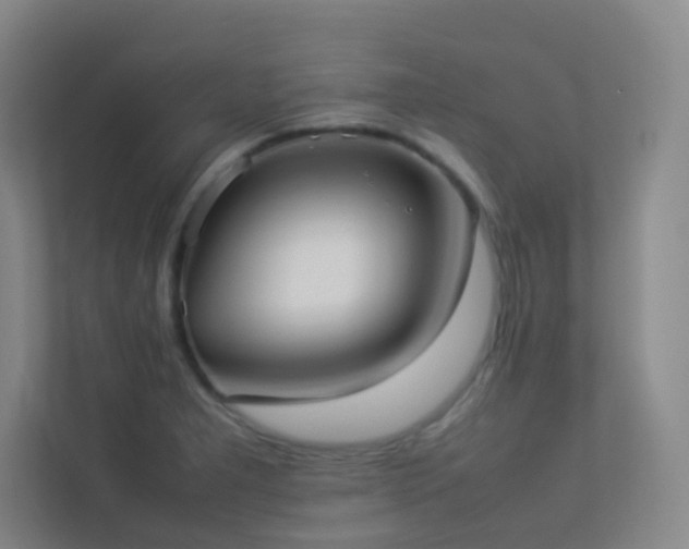 X0000113891277200909241409