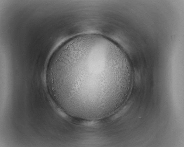 X0000113891278200909241409