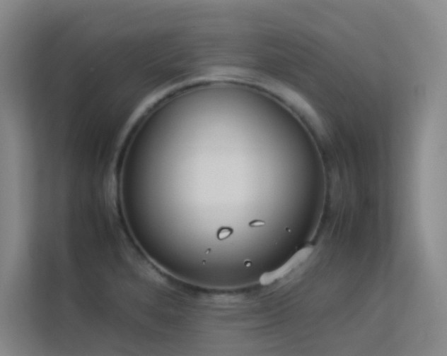 X0000113891280200909241409