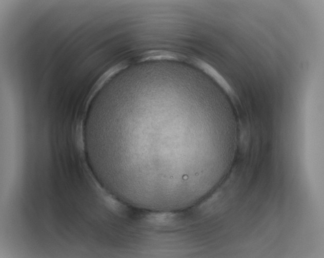 X0000113891282200909241409