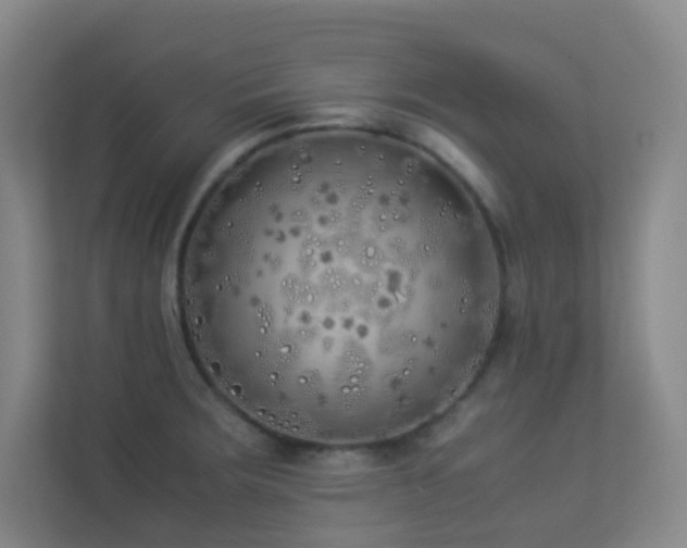 X0000113891283200909241409