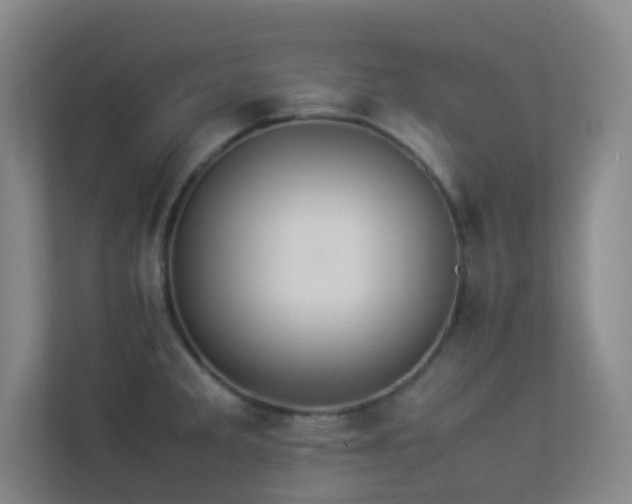 X0000113891285200909241409