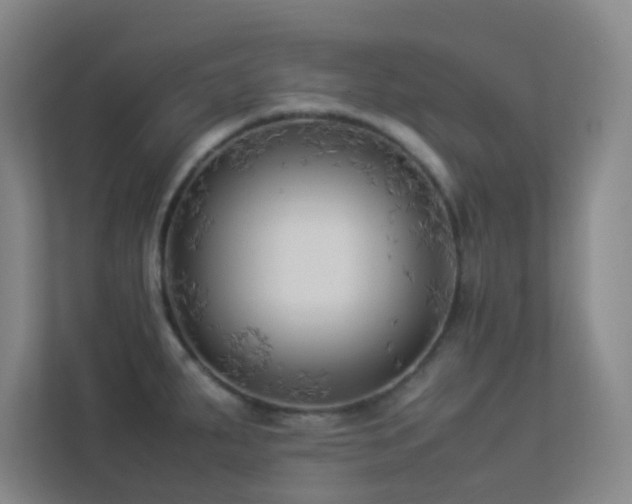 X0000113891287200909241409