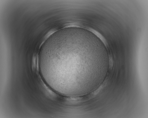 X0000113891290200909241409
