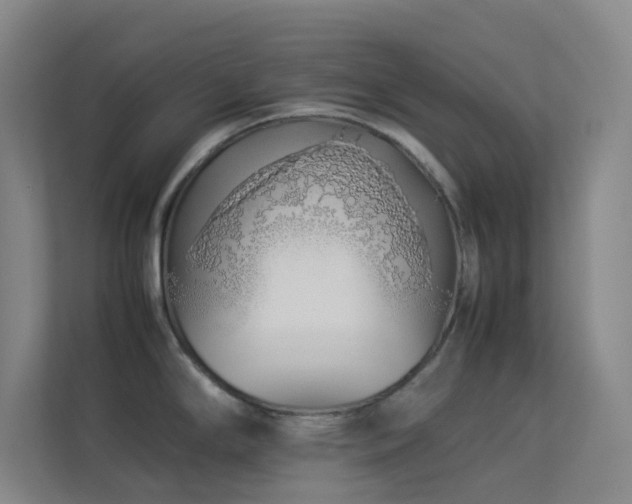 X0000113891294200909241409