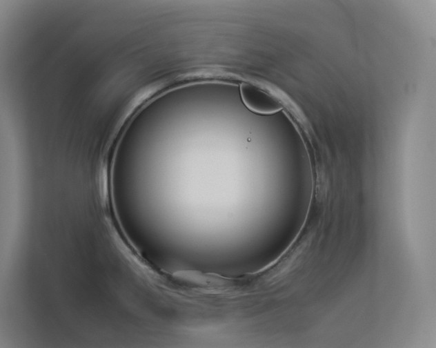 X0000113891295200909241409