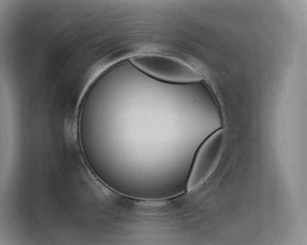 X0000113891296200909241409