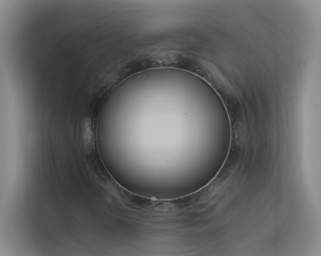 X0000113891298200909241408