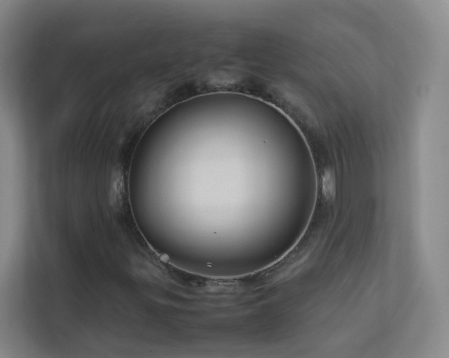 X0000113891299200909241408