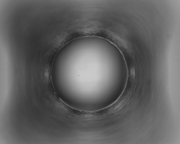 X0000113891300200909241408